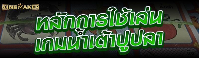 หลักการใช้เล่นเกมน้ำเต้าปูปลา